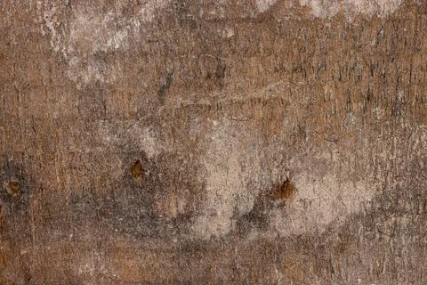 Wooden board texture Stock Photos