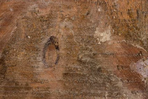 Wooden board texture Stock Photos