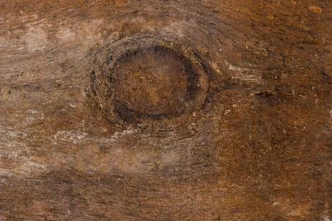 Wooden board texture Stock Photos