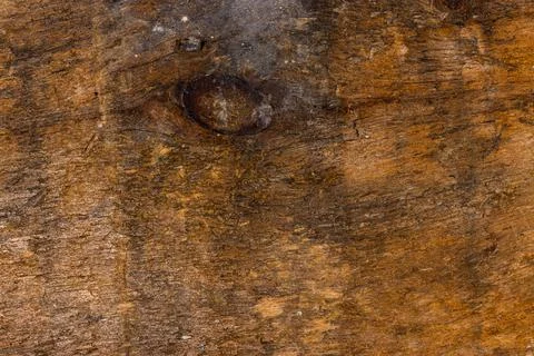 Wooden board texture Stock Photos