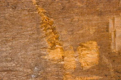 Wooden board texture Stock Photos