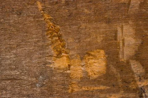 Wooden board texture Stock Photos