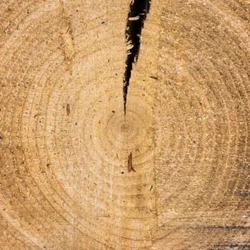 Wooden board texture Stock Photos