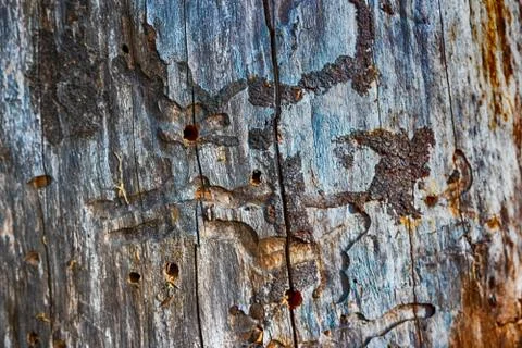 Wooden board wall texture pattern Stock Photos