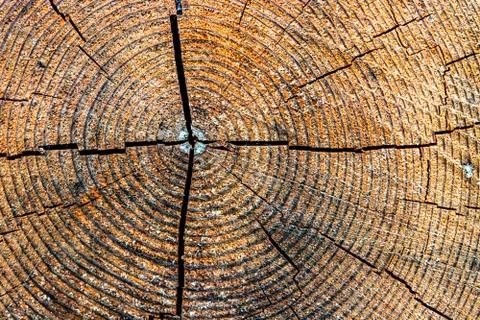 Wooden board wall texture pattern Stock Photos