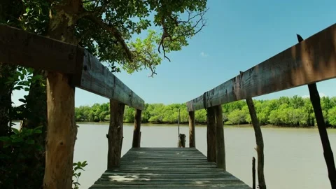 Wooden boat dock Stock Footage 163983686
