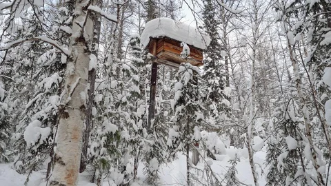 A wooden box on high posts in which the hunter stores food from wild animals. 4K 库存影片 128585743