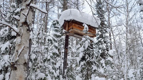 A wooden box on high posts in which the hunter stores food from wild animals. 4K 库存影片 128968493