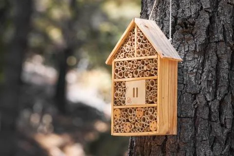 Wooden box that serves as a house and hohar for insects in the field in a Med Stock Photos