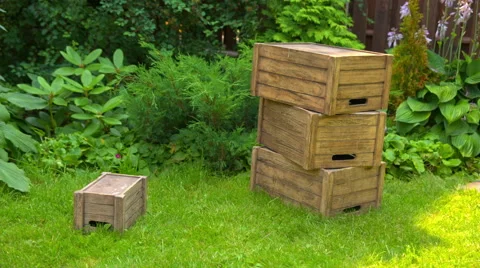 Wooden boxes lie on the grass on a background of green bushes Stock Footage 65421591