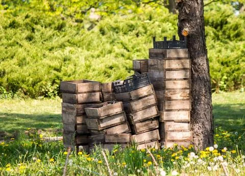 Wooden boxes Stock Photos