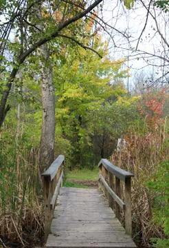 Wooden bridge across the marsh Stock Photos