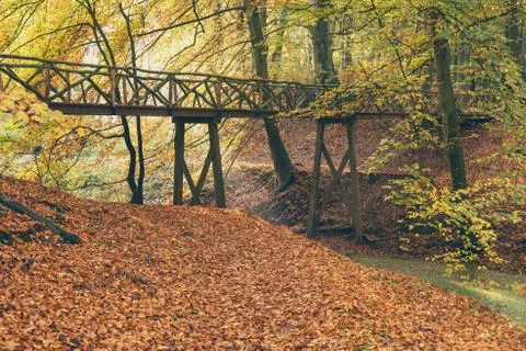 Wooden bridge in autumn forest. Stock Photos