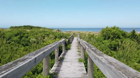 Wooden bridge in the beach Stock Footage 132052053