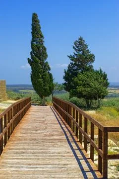 Wooden bridge to the fields Stock Photos