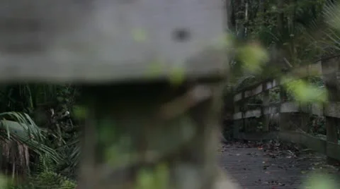 Wooden Bridge Stock Footage 12211666