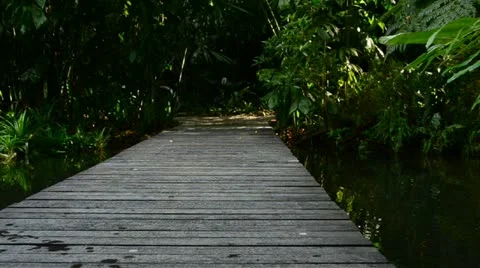 Wooden bridge Vidéo 21120603