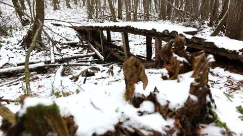 Wooden bridge Stock Footage 44340689