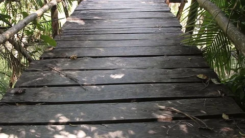 Wooden bridge Stock Footage 77532754