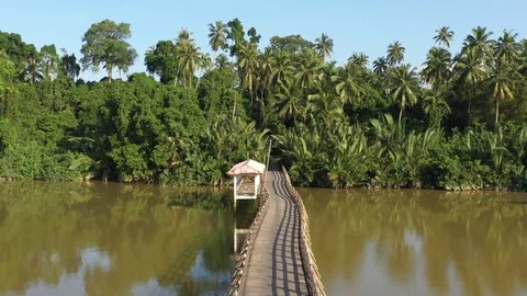 Wooden Bridge Vídeo Stock 102609150