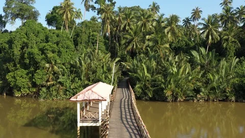 Wooden Bridge Stock Footage 102609240