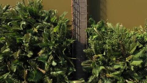 Wooden Bridge Stock Footage 102609397