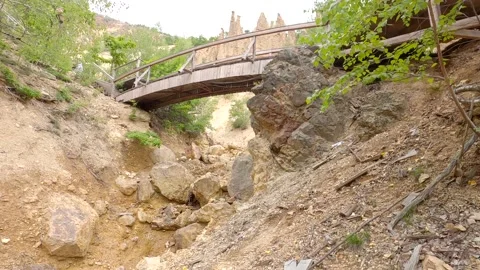 Wooden bridge Stock Footage 139887742