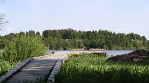 Wooden bridge. Video stock 250476599
