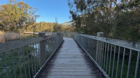 Wooden bridge Stock Footage 319926609