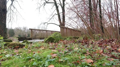 Wooden bridge in forest Stock Footage 121882141