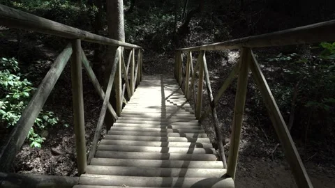 Wooden bridge in the forest Stock-Footage 344603178