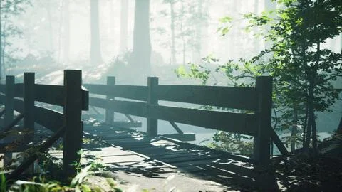 Wooden bridge into forest with river Stock Illustration