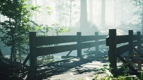 Wooden bridge into forest with river Stock Illustration