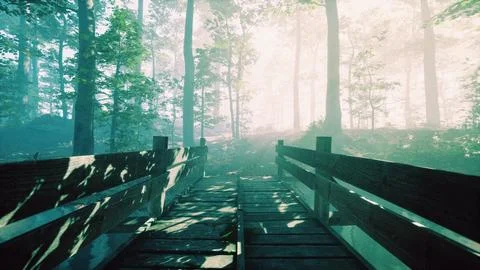 Wooden bridge into forest with river Stock Illustration