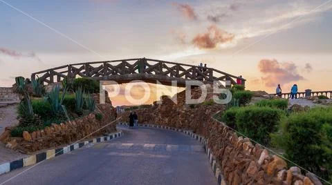 Wooden bridge made of palm trunks at Montaza park, Alexandria, Egypt Stock Photos