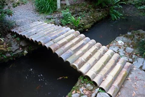 Wooden bridge over a narrow stream in the Botanical Garden in Batumi. A bridg Stock Photos