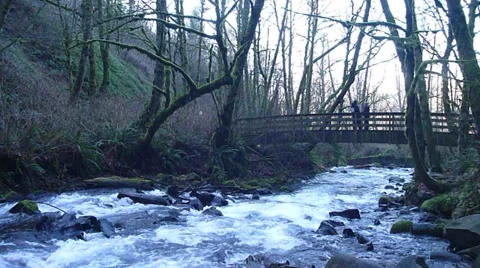 Wooden Bridge Over River Stock Footage 34251796