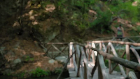 A wooden bridge over a river with trees in the background Stock Footage 273388674
