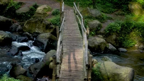 Wooden bridge over stream in Java mountain landscape Stock Footage 340057932