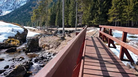 Wooden Bridge Over a Tranquil Stream in the Breathtaking Swiss Alps Stockbeeldmateriaal 334718013