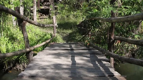 Wooden bridge passing through the forest Stock Footage 77532812