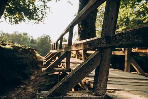 Wooden Bridge Path Through Forest - 1 Stock Photos