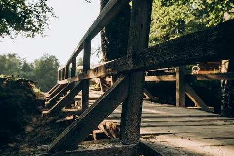 Wooden Bridge Path Through Forest Stock Photos