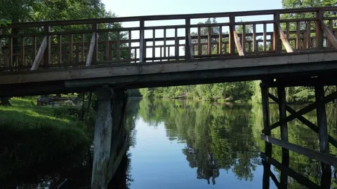 The wooden bridge in the pine forest.Reflection in water. 스톡 동영상 233920893