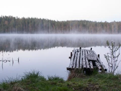 Wooden bridge of poles on a forest lake in the fog Stock Photos
