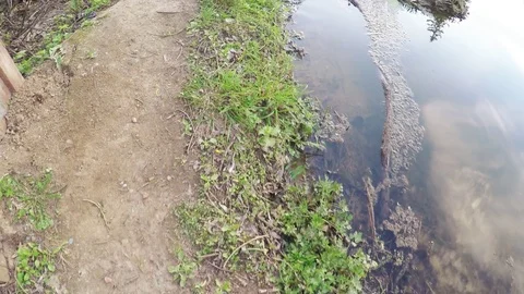 Wooden bridge on a small river Stock-Footage 75814099