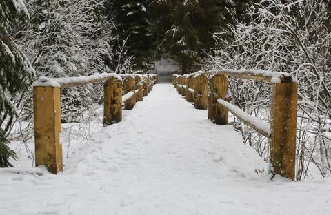 Wooden bridge in winter forest Stock Photos