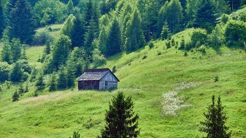 Wooden cabin in the meadow surrounded by trees Stock Photos
