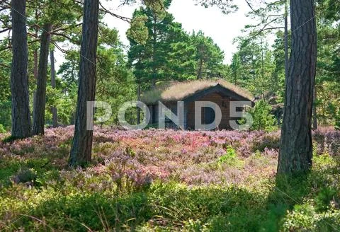 Wooden cabin on a wildflower meadow Stock Photos