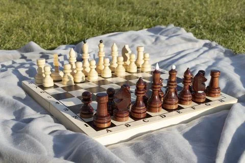 Wooden chessboard with pieces in the park on green grass. Stock Photos